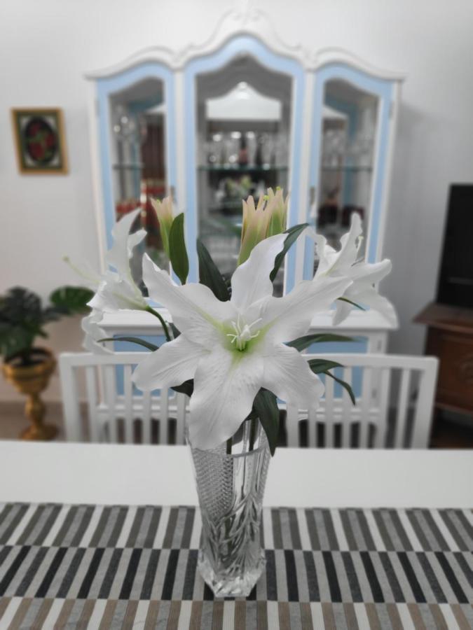 La Orquidea Appartement Vega de San Mateo Buitenkant foto